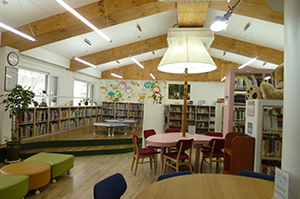 small library