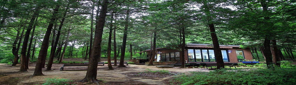 small library