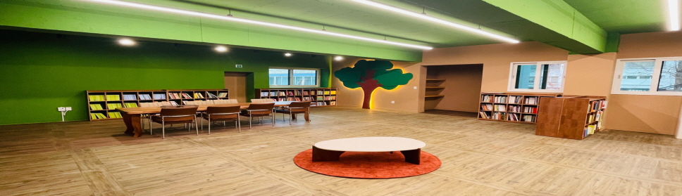small library
